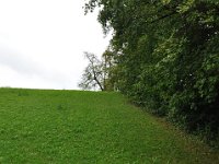 DSC 0194  Hier kommt es hin