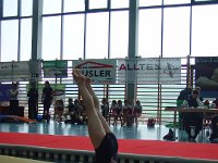 DSC 0019