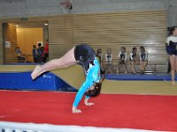 DSC 0106