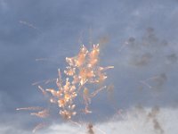 DSC 0101