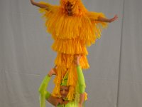 DSC 0105
