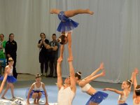 DSC 0113