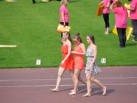 DSC 0310