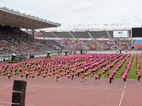 DSC 0329