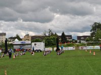 DSC 0926
