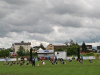 DSC 0937