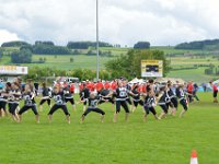 DSC 1060
