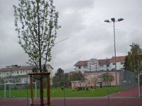 DSC 1606