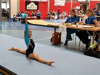 DSC 0100