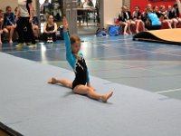 DSC 0103