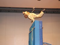 DSC 8821