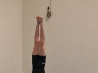 DSC 4630