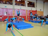 DSC 5568
