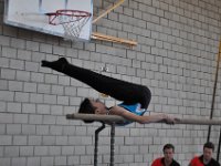 DSC 0053
