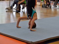 DSC 0753