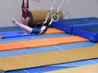 DSC 2111