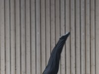 DSC 5472