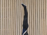 DSC 5526
