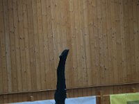 DSC 0772